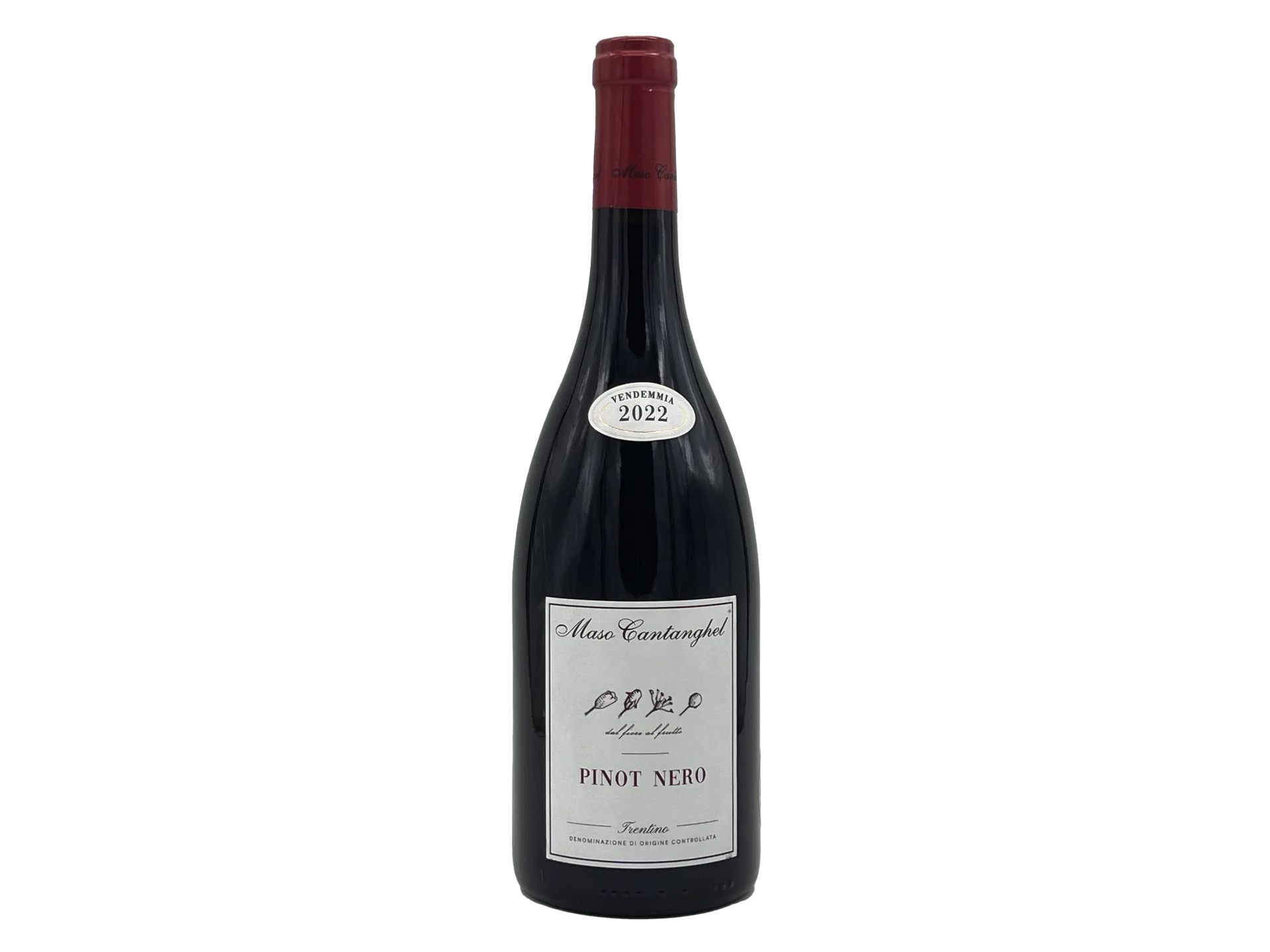 Pinot nero Maso Cantanghel