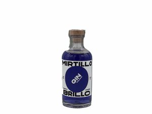 Gin Exclusive Mirtillo Brillo