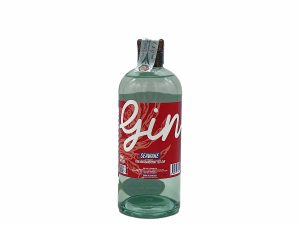 Gin Seawake Bad Spirits